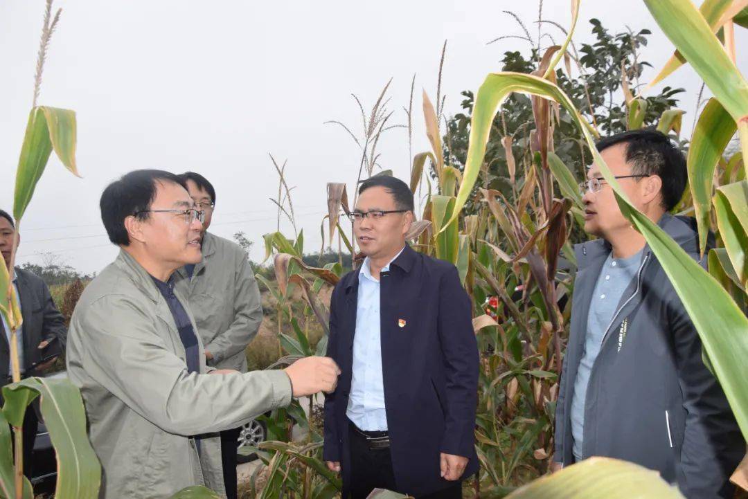 副县长李虎山检查输电线路火灾风险隐患和人员密集场所用电安全