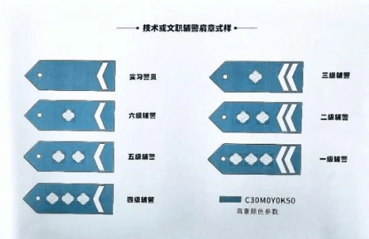 交通辅警肩章图片