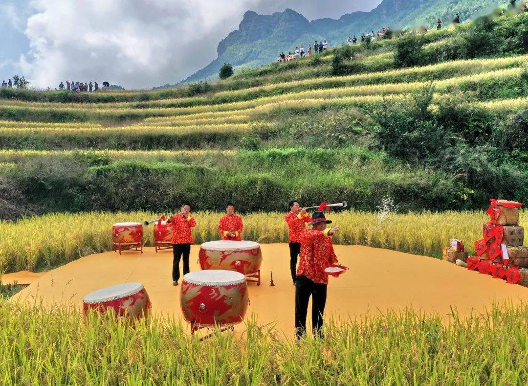 梯田当舞台锣鼓响起来他们这样欢庆丰收
