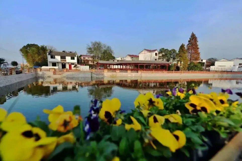 红色名村潢溪镇渡口村重温百年记忆追寻红色足迹