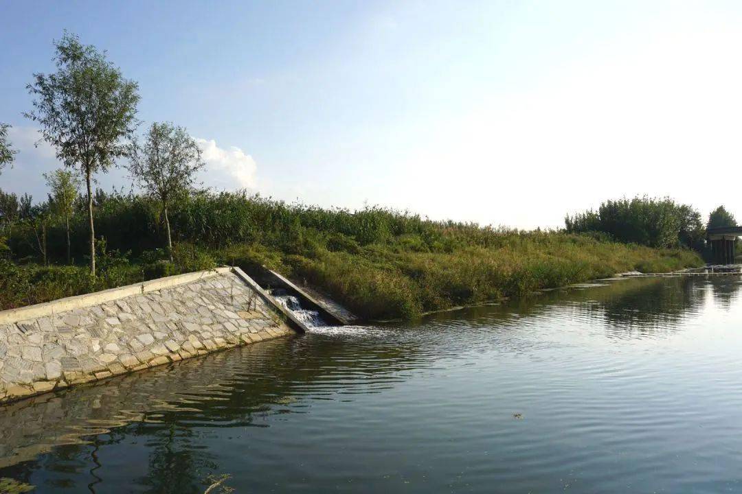 生态振兴丨助水河生态治理旧河道换新颜