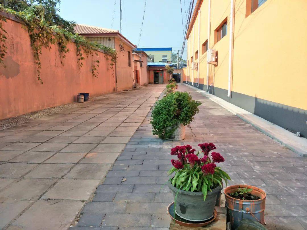 姜屯越来越美了