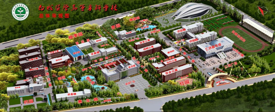 运动好我们会竭尽全力为你在这里就是对我们最大的信任选择了白城医