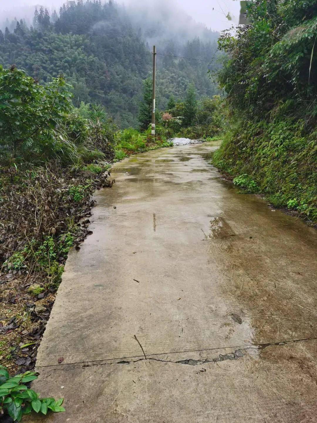 通往严令养鸡场的山村公路另外隘口镇能将电商与物流平台建起来,隘口