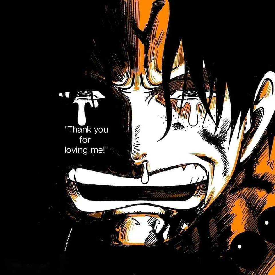 头像|海贼王 你最喜欢海贼里的哪句话?