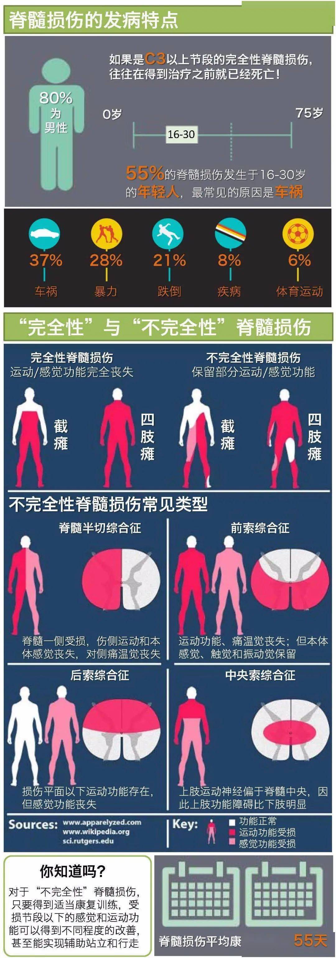 一图读懂丨脊髓损伤的特点,分型,预防及康复