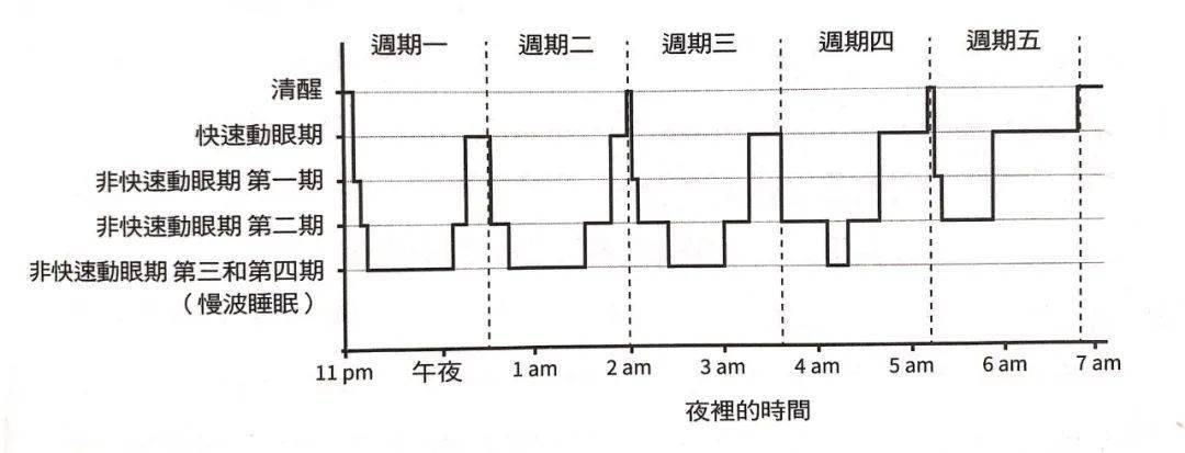 投资中的生物学 | 夜间小酌真的会助眠吗?_睡眠