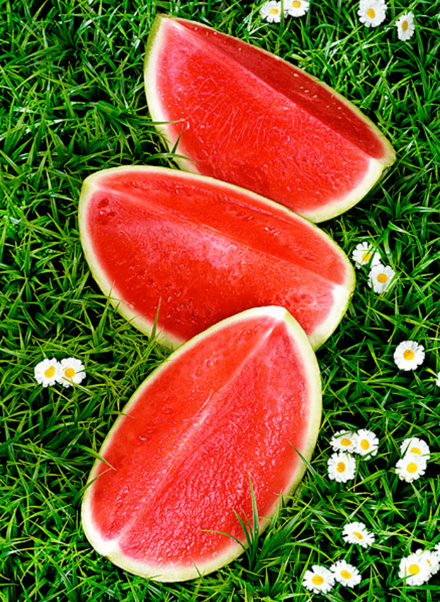 9元起抢"红心k甘美4k西瓜"!现摘现发!甜度高,口感脆,冷藏后味道更佳!