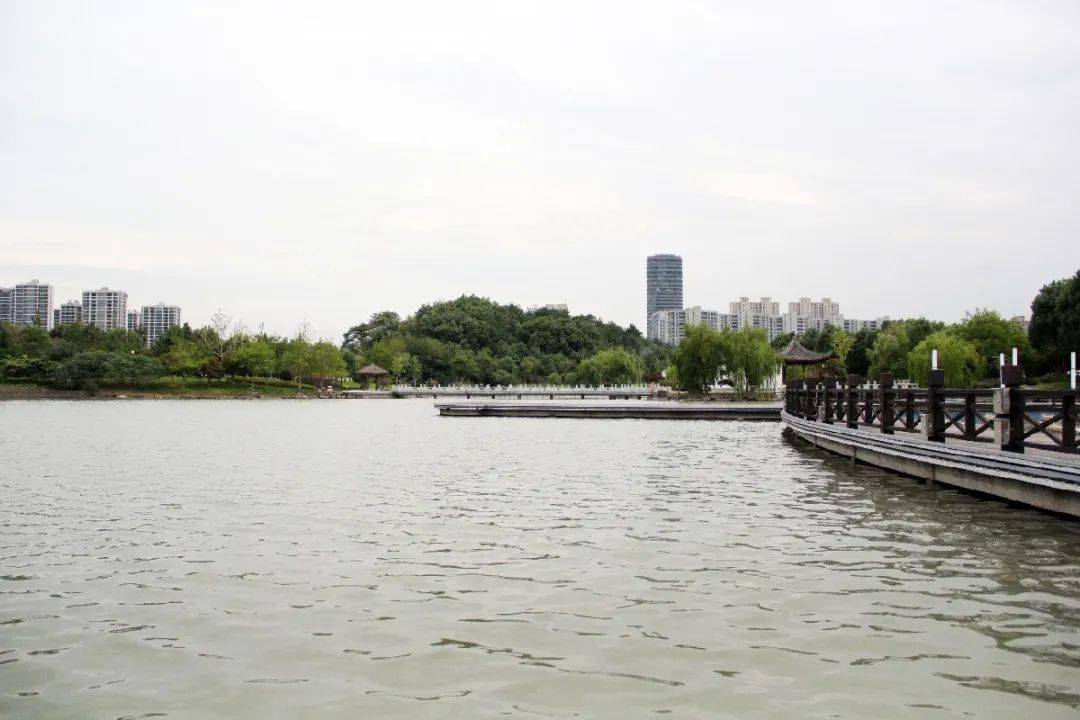 奉化仁湖公园水有多深图片