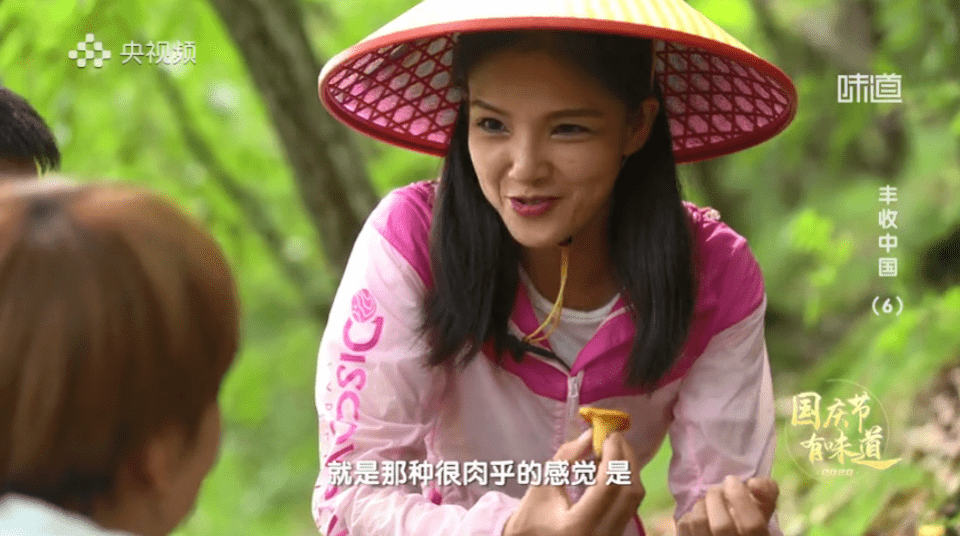 味道栏目外景女主持人图片