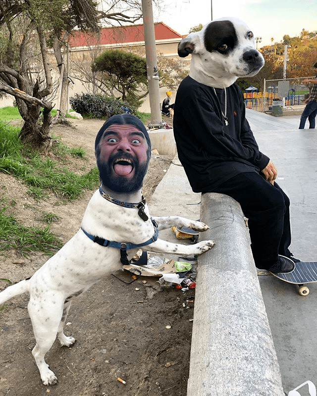 不得不说这张照片还是很帅的滑手的气势狗头人?