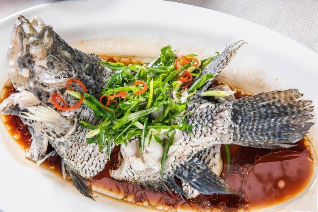 清蒸油水珍珠斑 』那滋味!