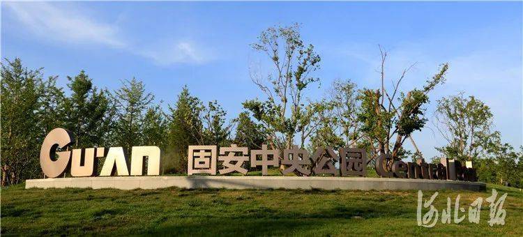 河北固安:绿意盎然"创森" 打造"京南绿美城"_固安县