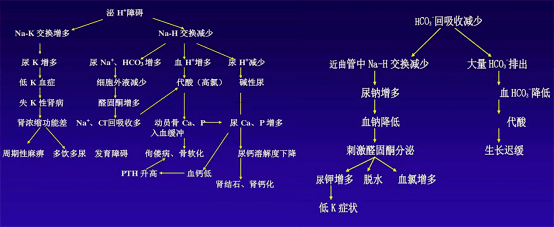 【健康中心】不一样的低钾血症 肾小管酸中毒你知道吗?
