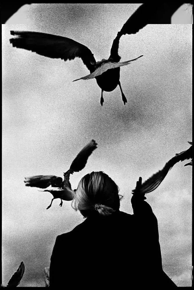 大城市的孤独:充满情绪的黑白影像