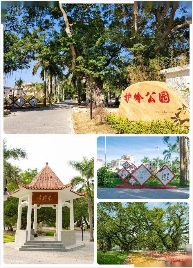 广州市白云区江高镇五丰村,广州市花都区花东镇凤凰村,广州市花都区