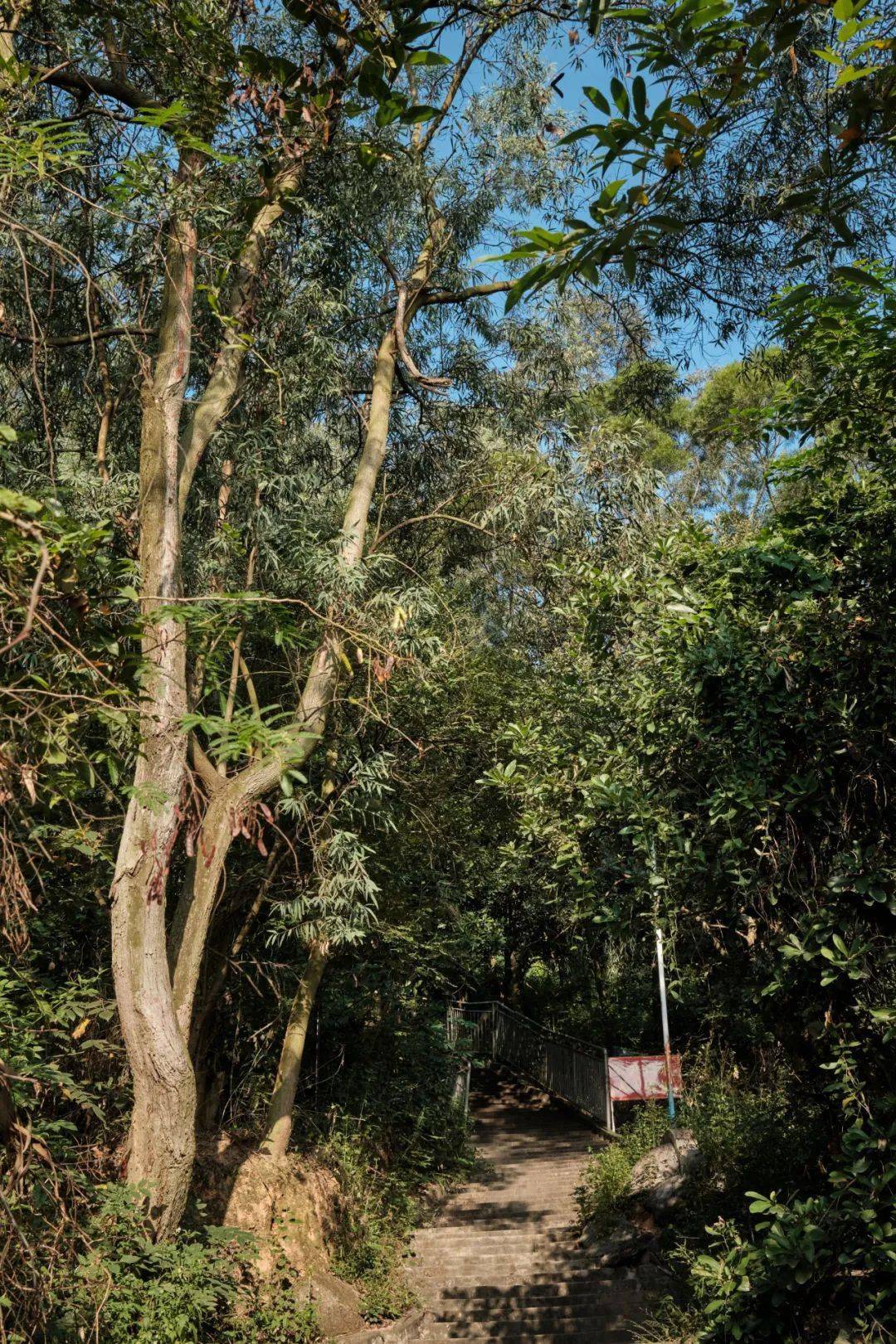 摄影|一路向南向西,新亨市场,罗山清晨街拍