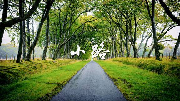 经典怀旧口哨版小路真是美醉了