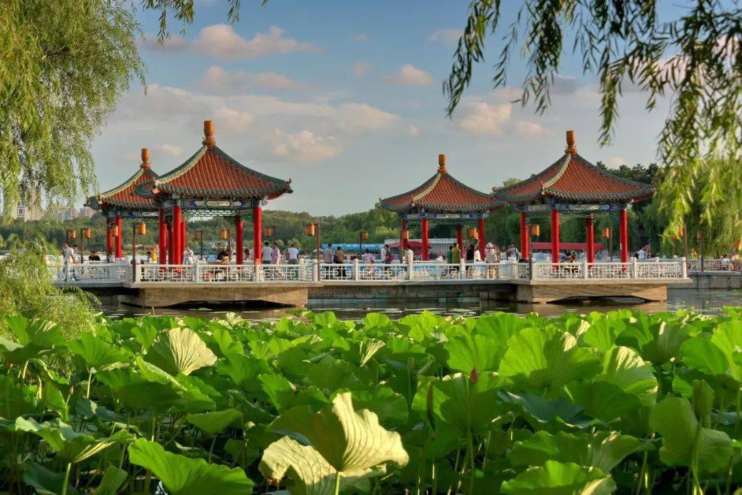 南湖公园有好事你还不跟上