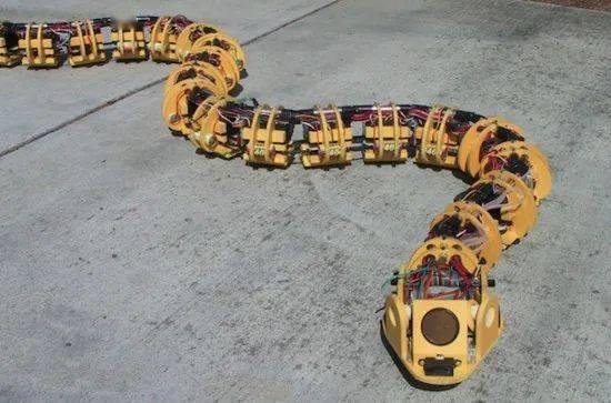 仿生蛇形机器人设计图片