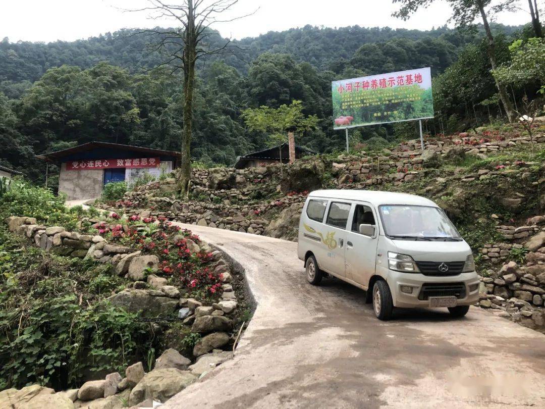 一条产业路串起村民致富梦荥经县安靖乡大通桥村的脱贫故事