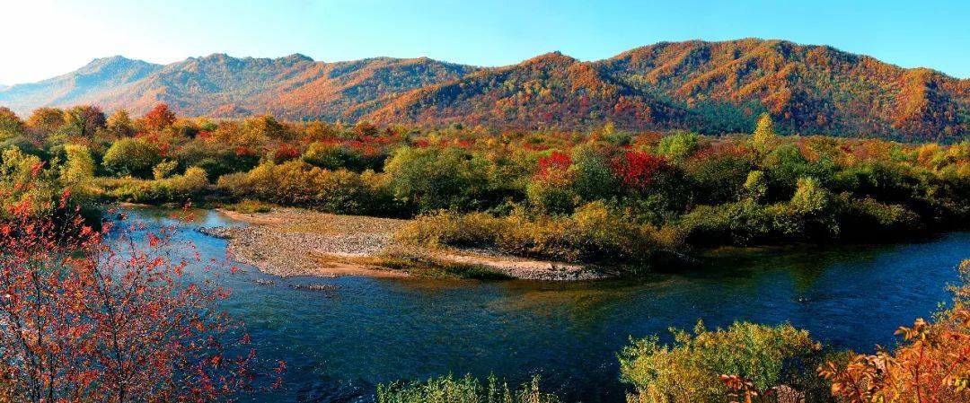 【图集】为什么劝你一定要在秋天来鹤岗旅行?这些照片,就是全部理由