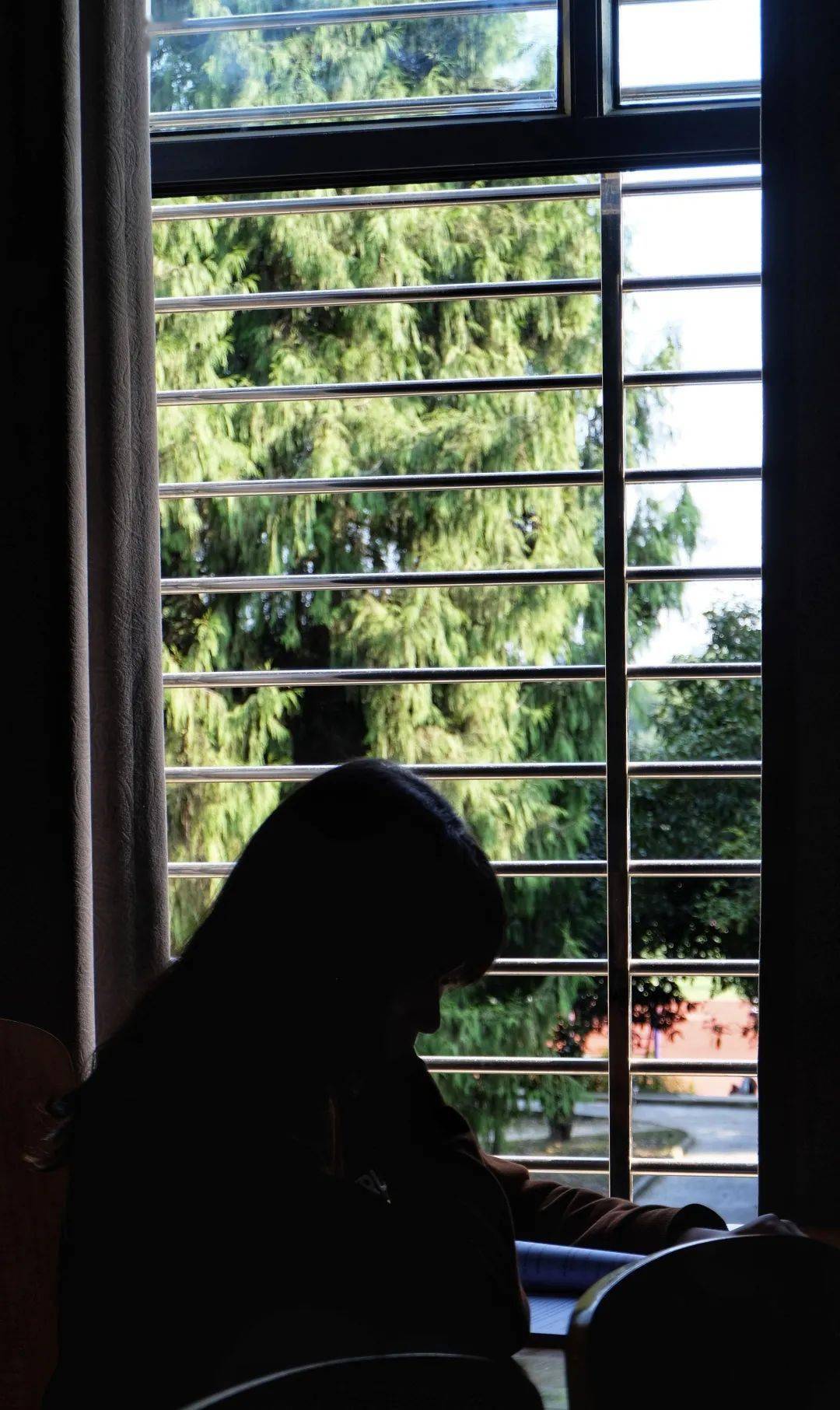 那是多少生命日夜在活动着的所在;每一根青的什么麦黍,都有人流过汗