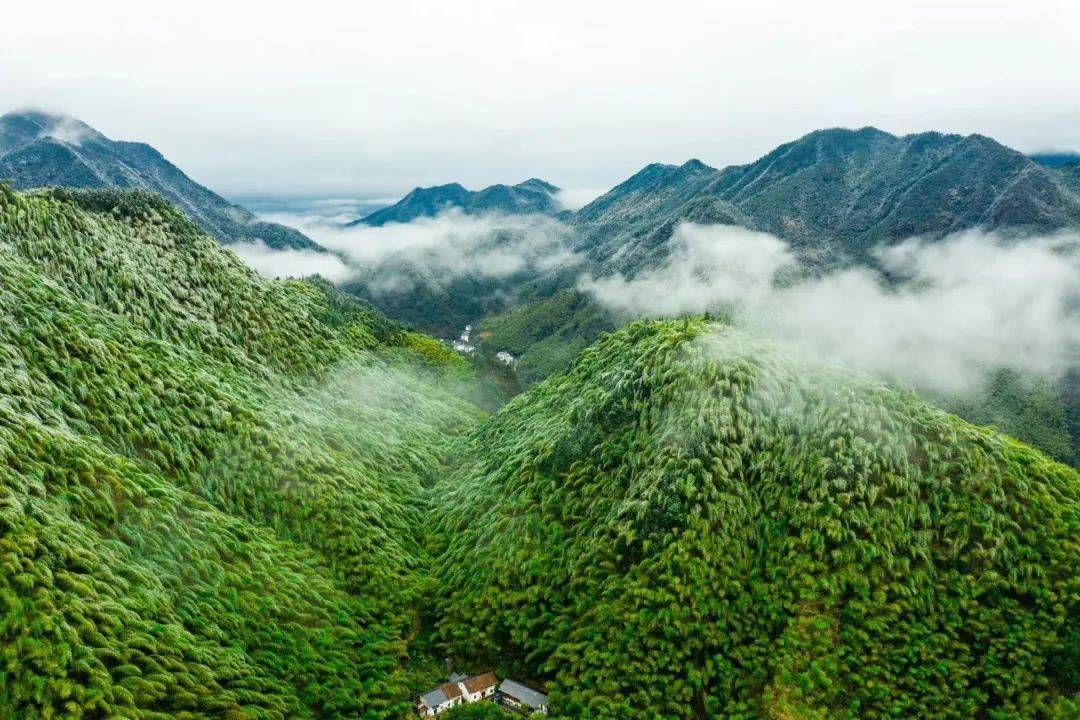 衢州七里桃花源风景区图片