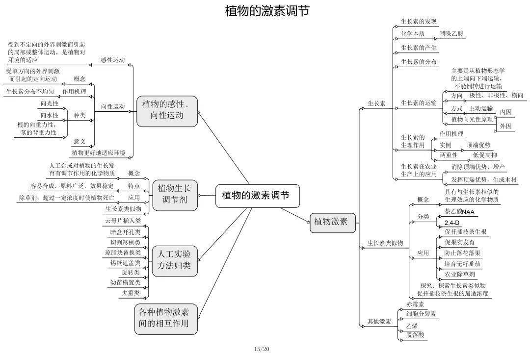 高中生物必修 選修思維導圖最全歸納