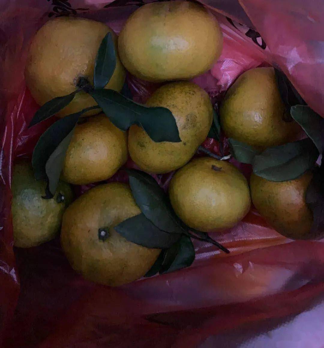 桂林这个菜市场买回来的水果有人吃出活蛆太恶心了