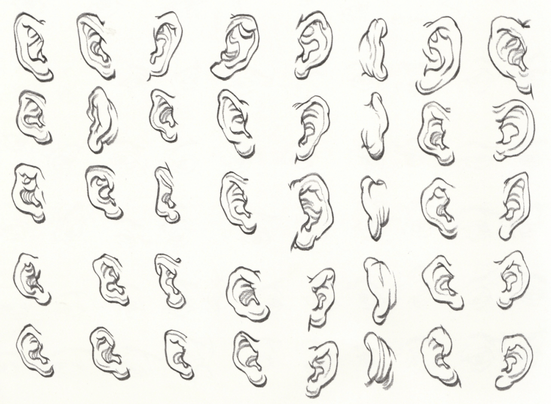 干货分享速写人物之头部骨骼肌肉五官的刻画表现