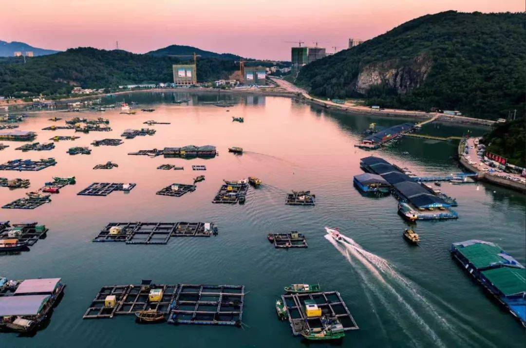 2020年12月4-6日 粤西"海的风情"三天摄影团