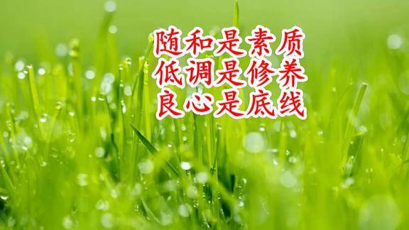 随和是素质低调是修养良心是底线