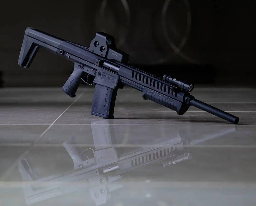 【又见黑水】sentry 12霰弹枪图集