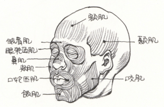 干货分享 