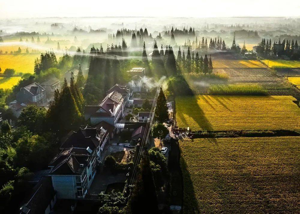 崇明这些年翻天覆地的变化,都记录在这些照片里_手机搜狐网