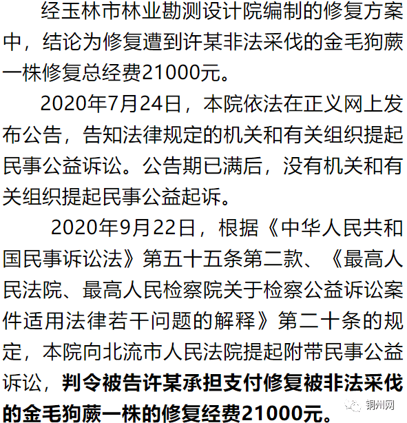 金毛狗蕨判刑案件图片