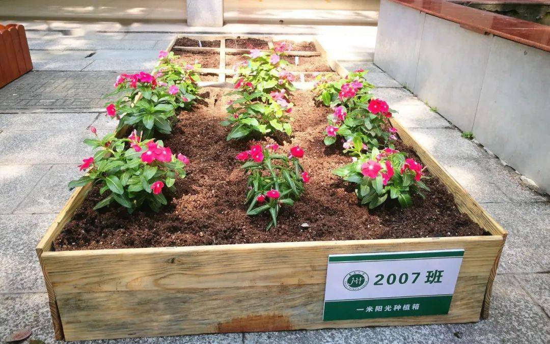 禹娃爱劳动种植劳动初体验校园农场显生机
