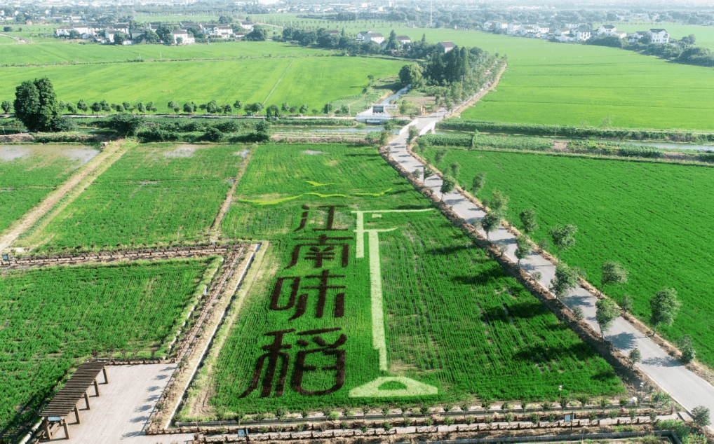 智汇吴中造优未来临湖镇举行2020重点项目开工开业仪式