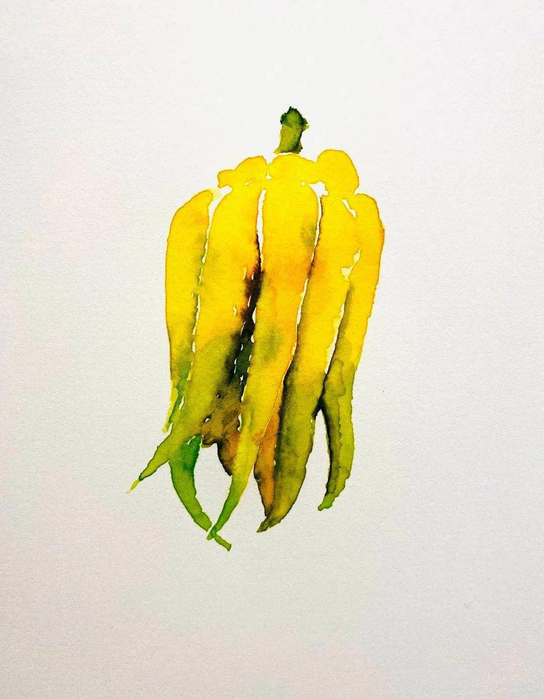 佛手 纸本水彩18x26cm 201974许延平妃子笑 纸本水彩30x40cm 2019