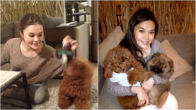 香港千金整容惨死牵出豪门恩怨父亲卖家业丈夫抢遗产