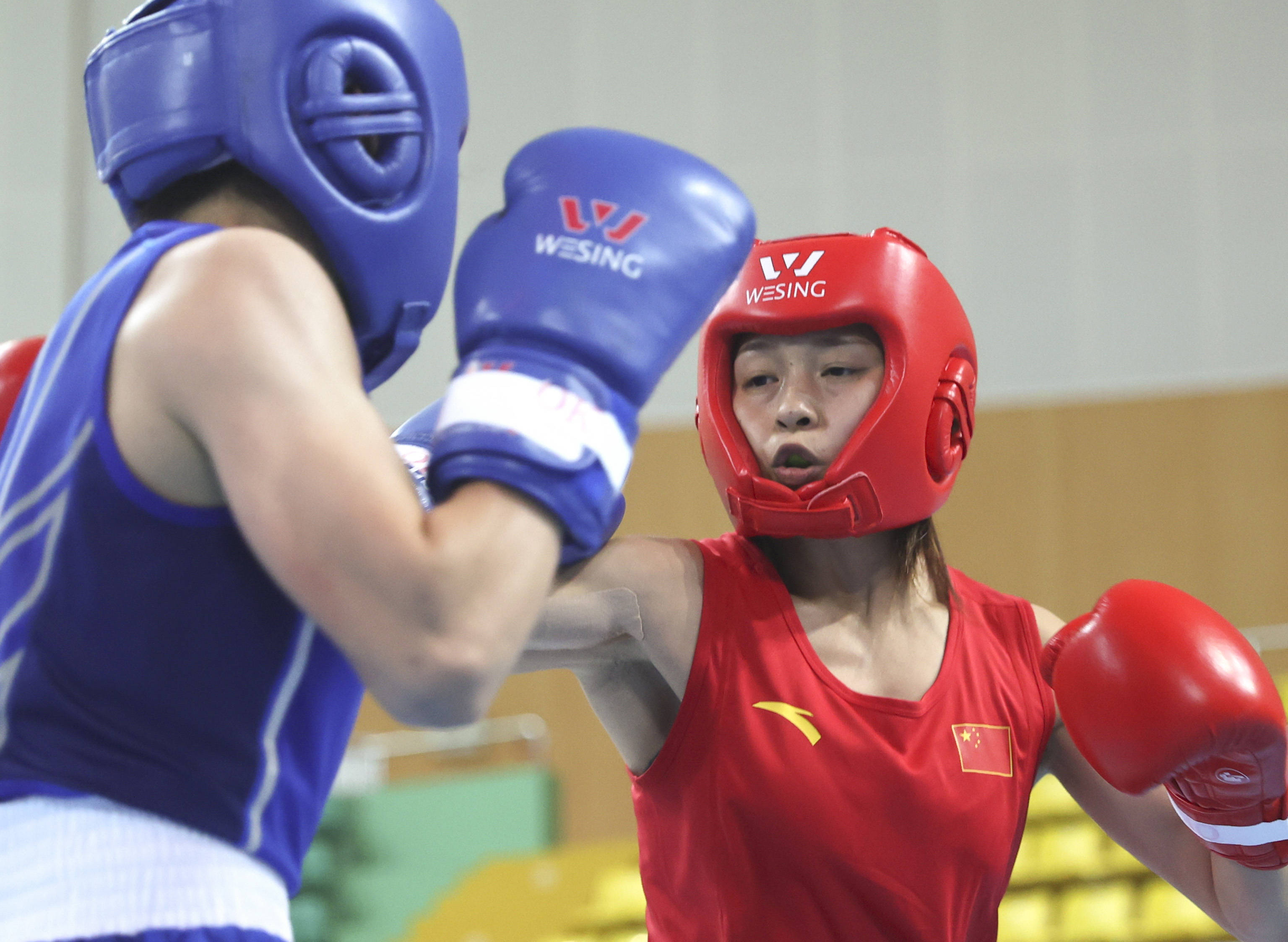 拳击——全国女子拳击锦标赛:常园晋级