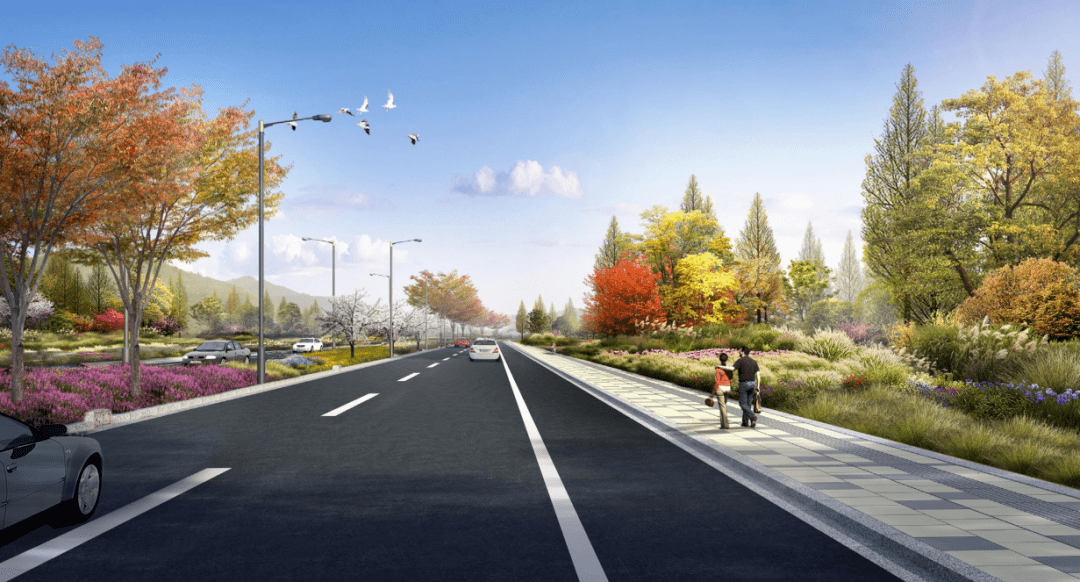 【景观大道段】道路绿化采用色叶类植物及春季花灌木,形成强烈的色彩
