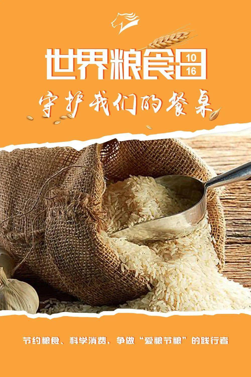 我國糧食安全宣傳週|守護我們的餐桌