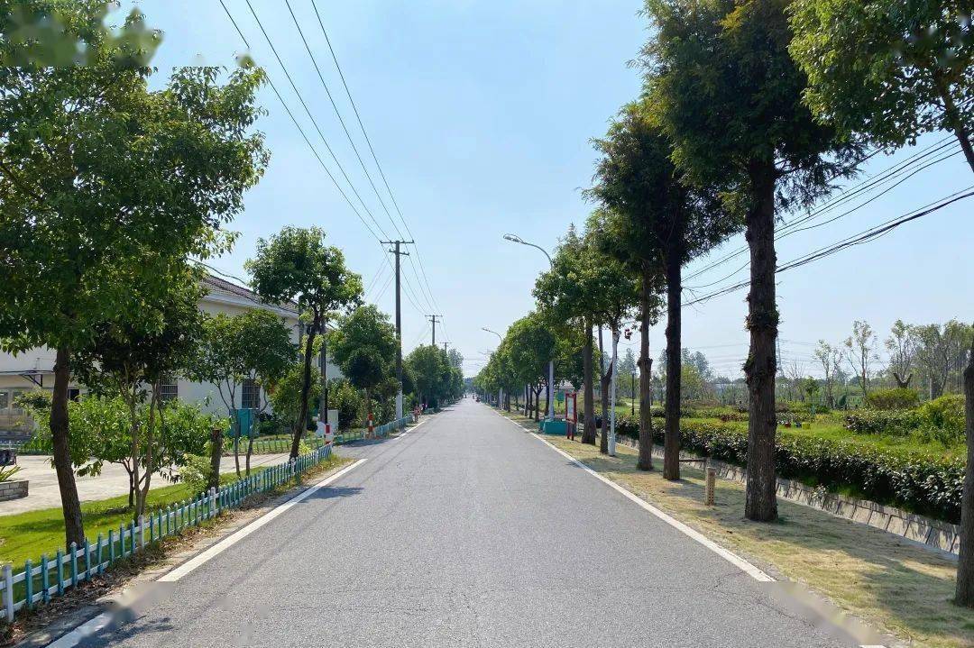 乡村振兴