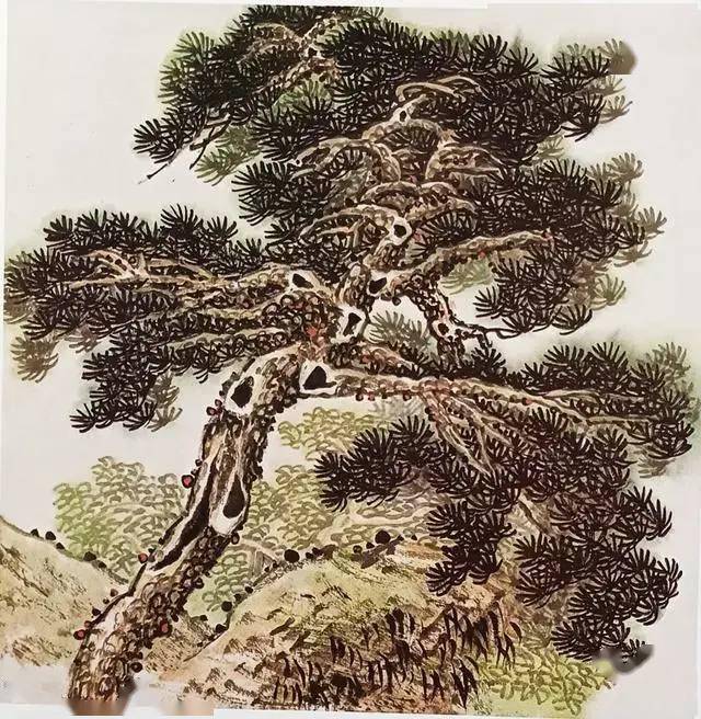 国画：松树的各种画法「图解」-搜狐大视野-搜狐新闻