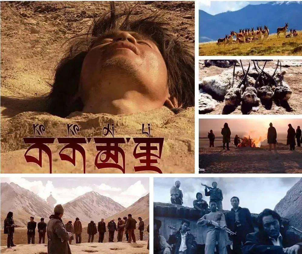 可可西里终于被禁"生命的禁区"有多可怕,看完你就知道了.