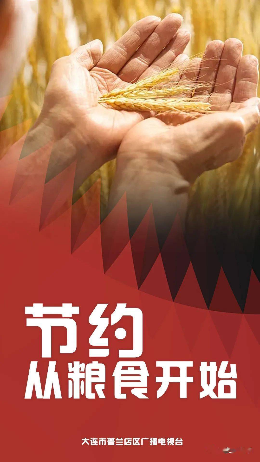 世界粮食日珍惜粮食杜绝浪费