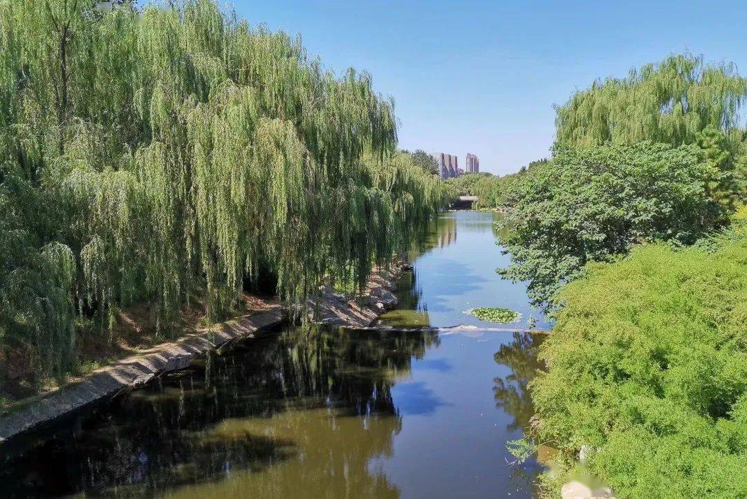 校庆日 | 祝济南大学七十二周岁生日快乐!