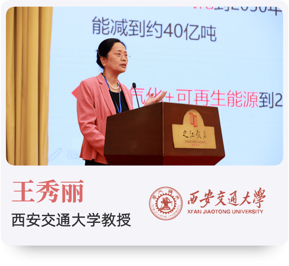 西安交通大学教授王秀丽表示:2010-2019年中国的非化石能源消费比重从